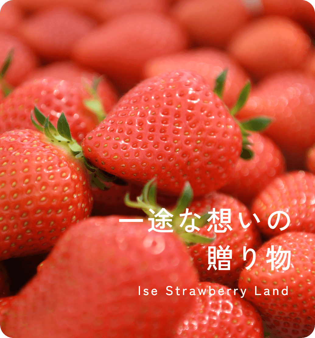 一途な想いの贈り物 Ise Strawberry Land